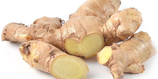 Gingembre Frais