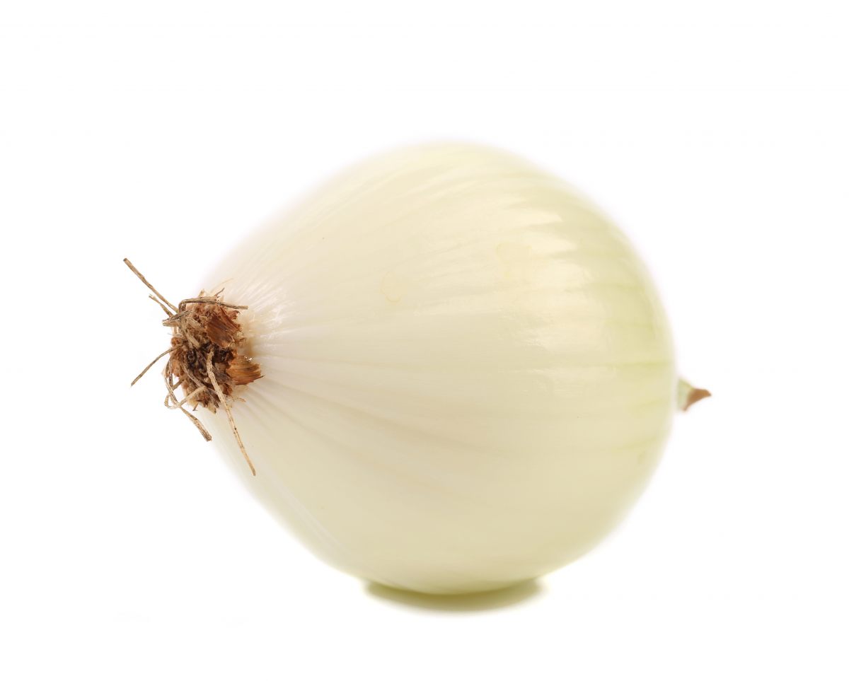 Oignon blanc